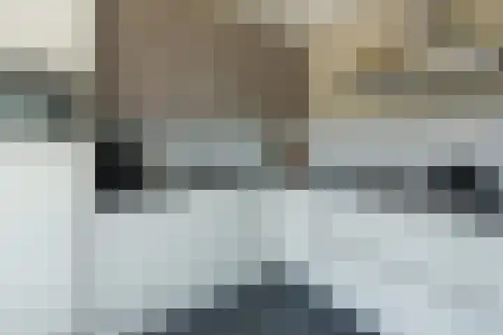 Aelbert Cuypstraat 13 Nederhorst den Berg thumbnail 8