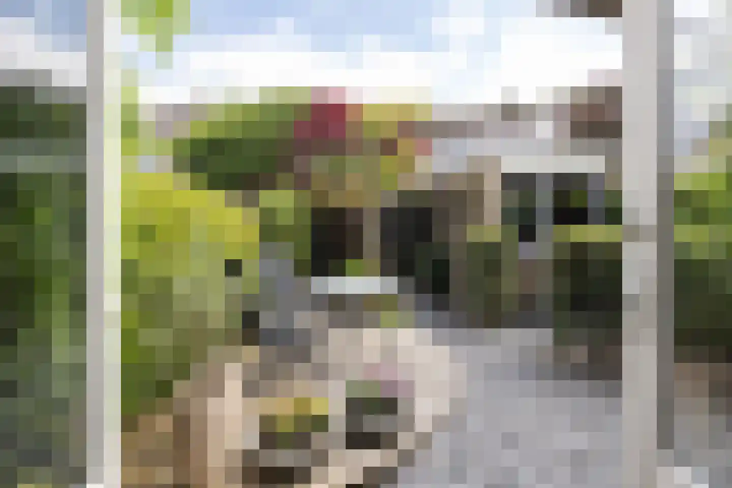 Aelbert Cuypstraat 3 Nederhorst den Berg thumbnail 16