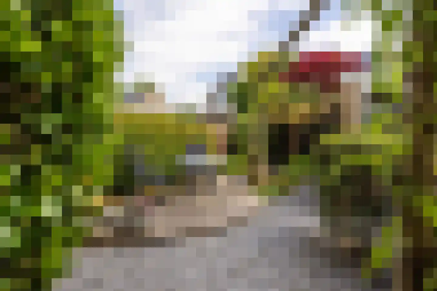 Aelbert Cuypstraat 3 Nederhorst den Berg thumbnail 17