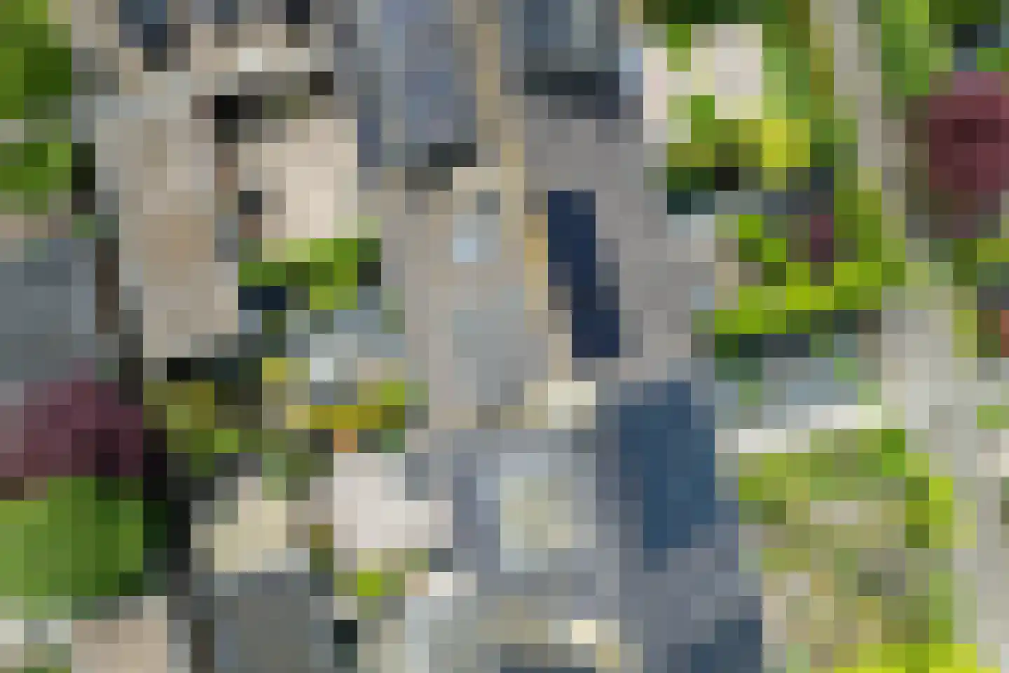 Aelbert Cuypstraat 3 Nederhorst den Berg thumbnail 36