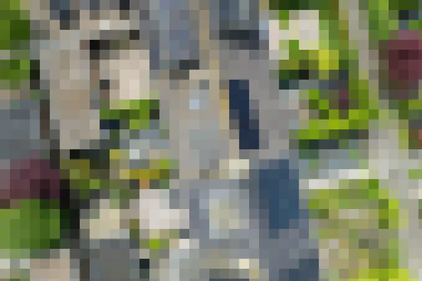 Aelbert Cuypstraat 3 Nederhorst den Berg thumbnail 37