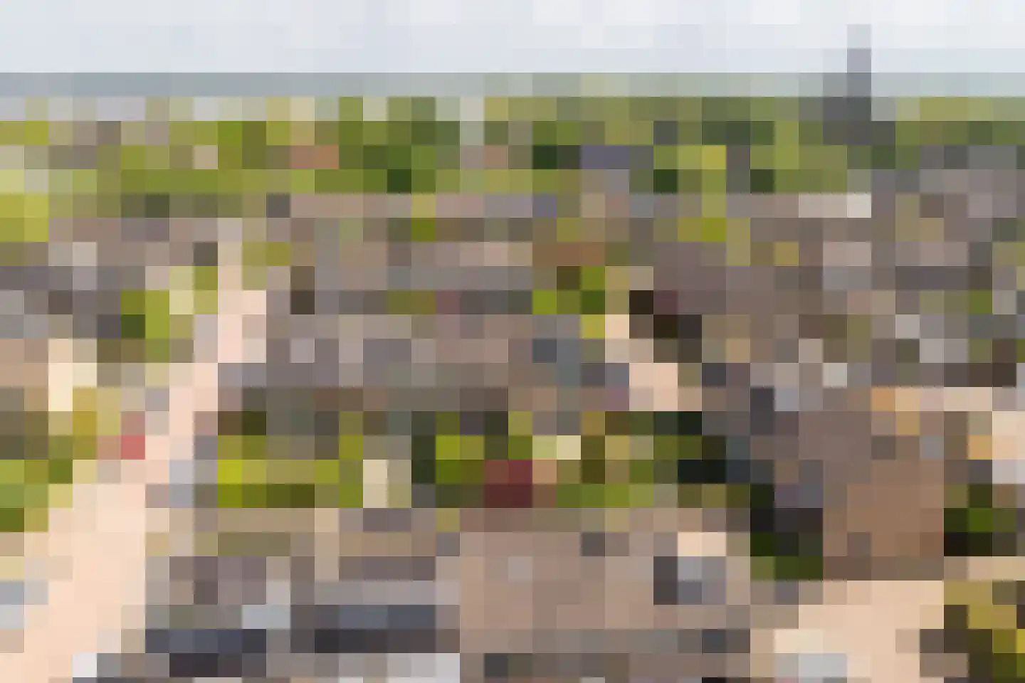 Aelbert Cuypstraat 3 Nederhorst den Berg thumbnail 37