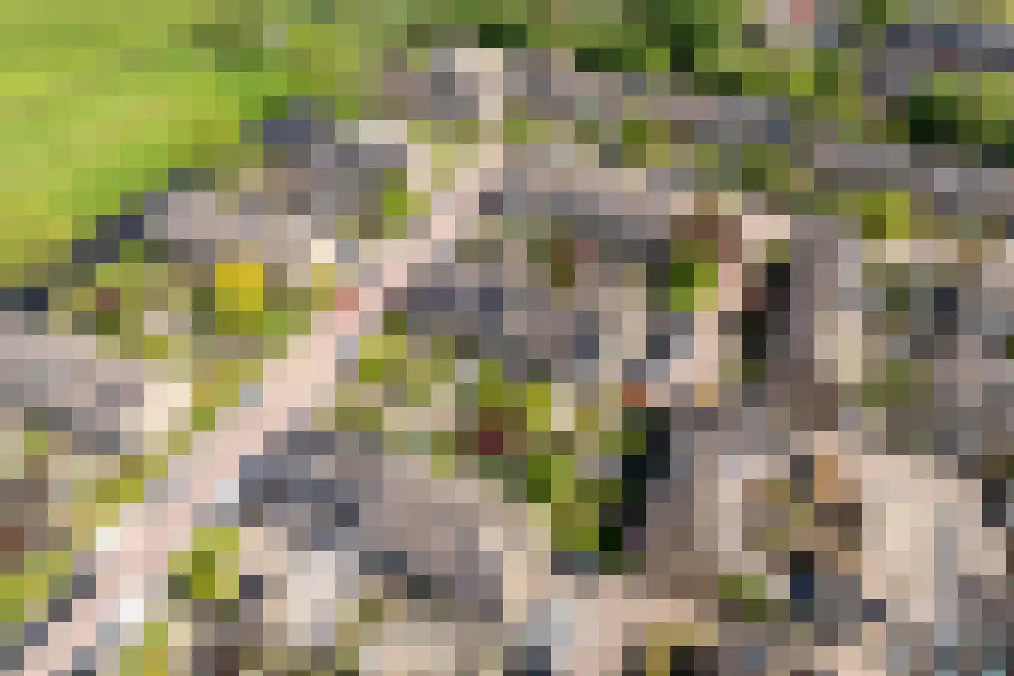 Aelbert Cuypstraat 3 Nederhorst den Berg thumbnail 39