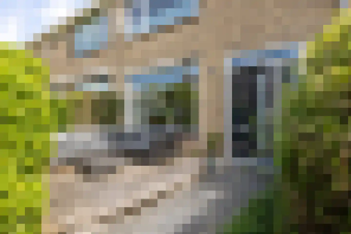 Aelbert Cuypstraat 3 Nederhorst den Berg thumbnail 5