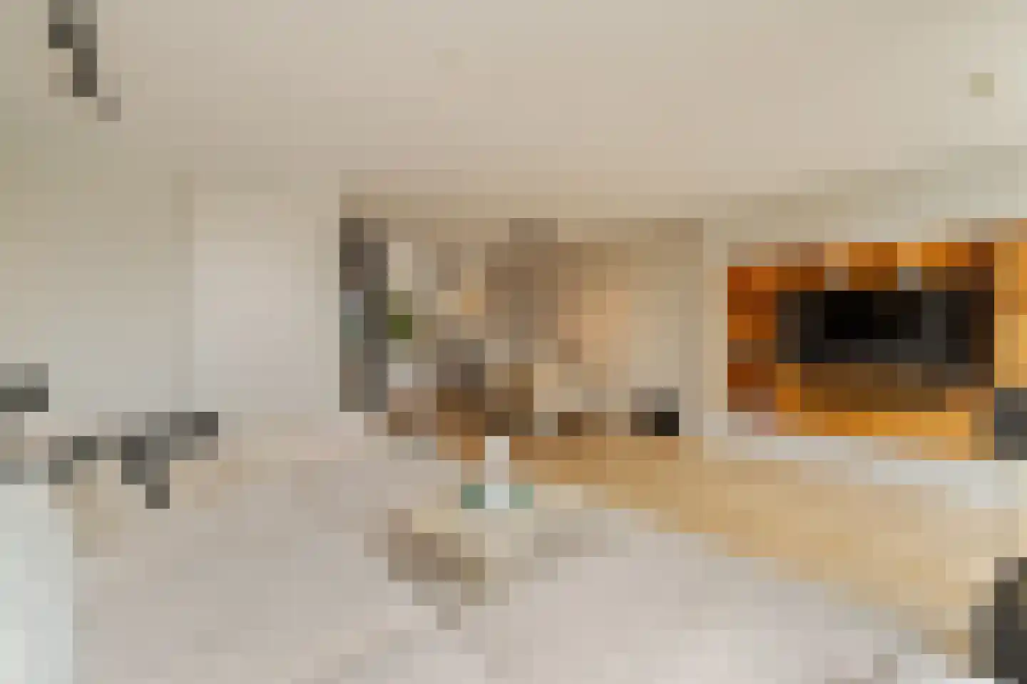 Aelbert van Spanjekade 20 Rotterdam thumbnail 11