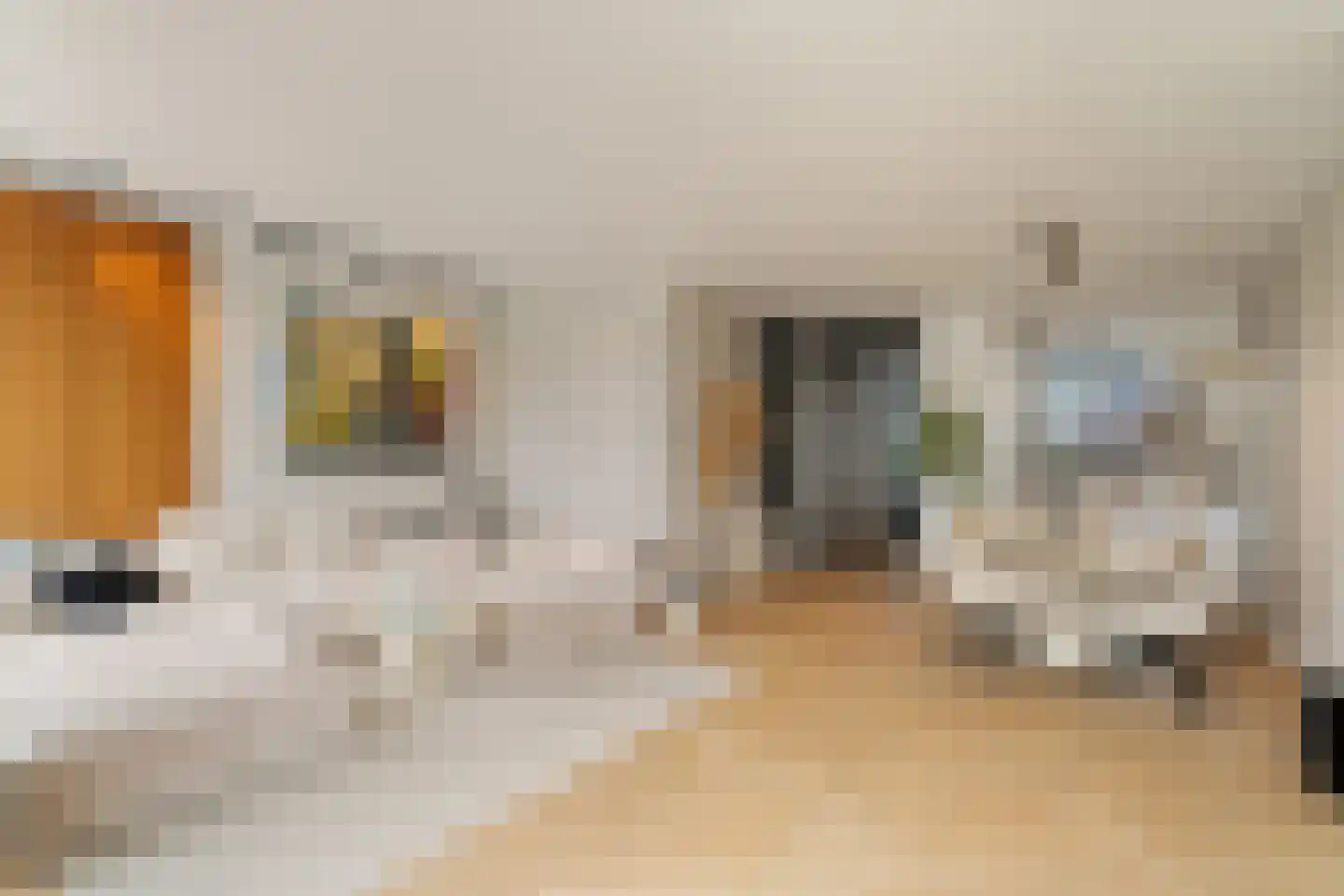 Aelbert van Spanjekade 20 Rotterdam thumbnail 14