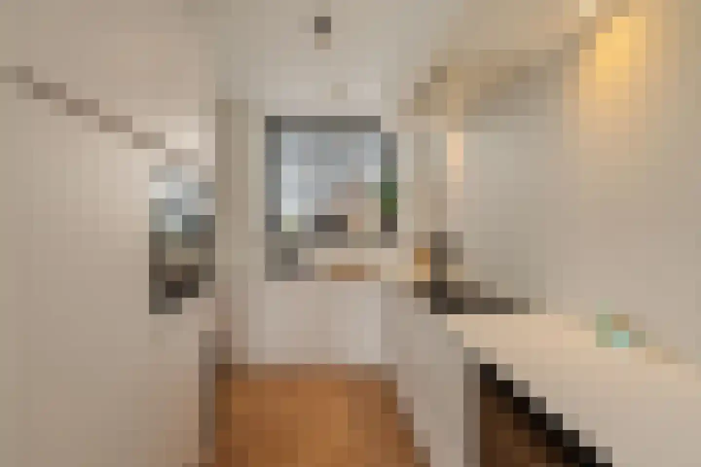 Aelbert van Spanjekade 20 Rotterdam thumbnail 17