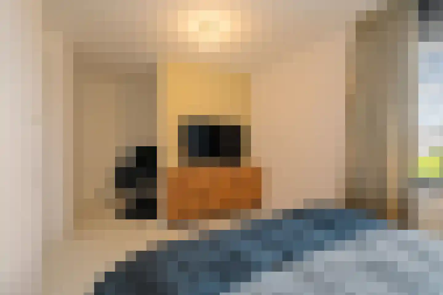Aelbert van Spanjekade 20 Rotterdam thumbnail 22