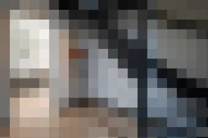 Aelbert van Spanjekade 9 Rotterdam thumbnail 17