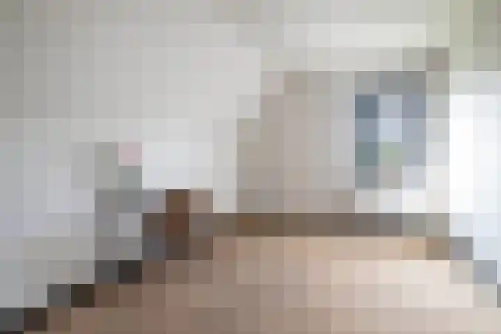 Aelbert van Spanjekade 9 Rotterdam thumbnail 29