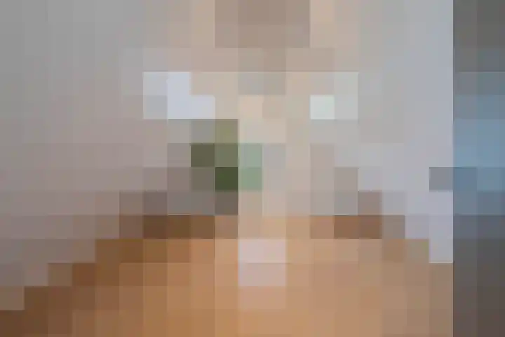 Aelbert van Spanjekade 9 Rotterdam thumbnail 33
