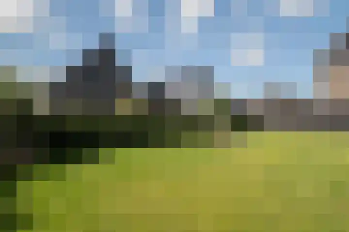 Aelbert van Spanjekade 9 Rotterdam thumbnail 38