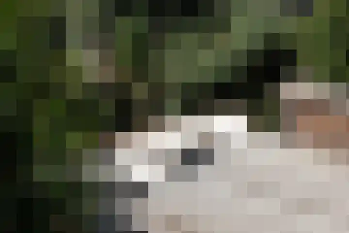 Aelbert van Spanjekade 9 Rotterdam thumbnail 39