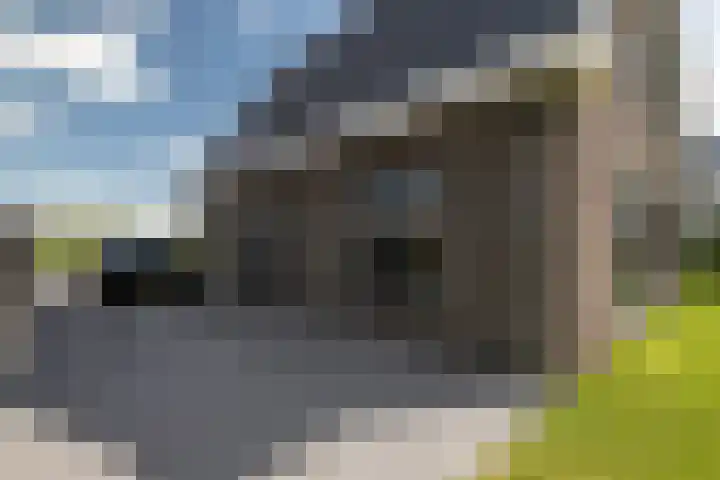 Aelbert van Spanjekade 9 Rotterdam thumbnail 43
