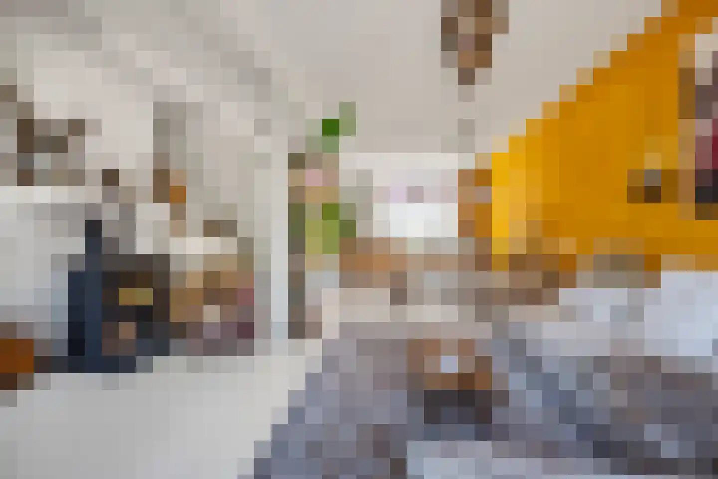 Aelbertsbergstraat 61 Haarlem thumbnail 7