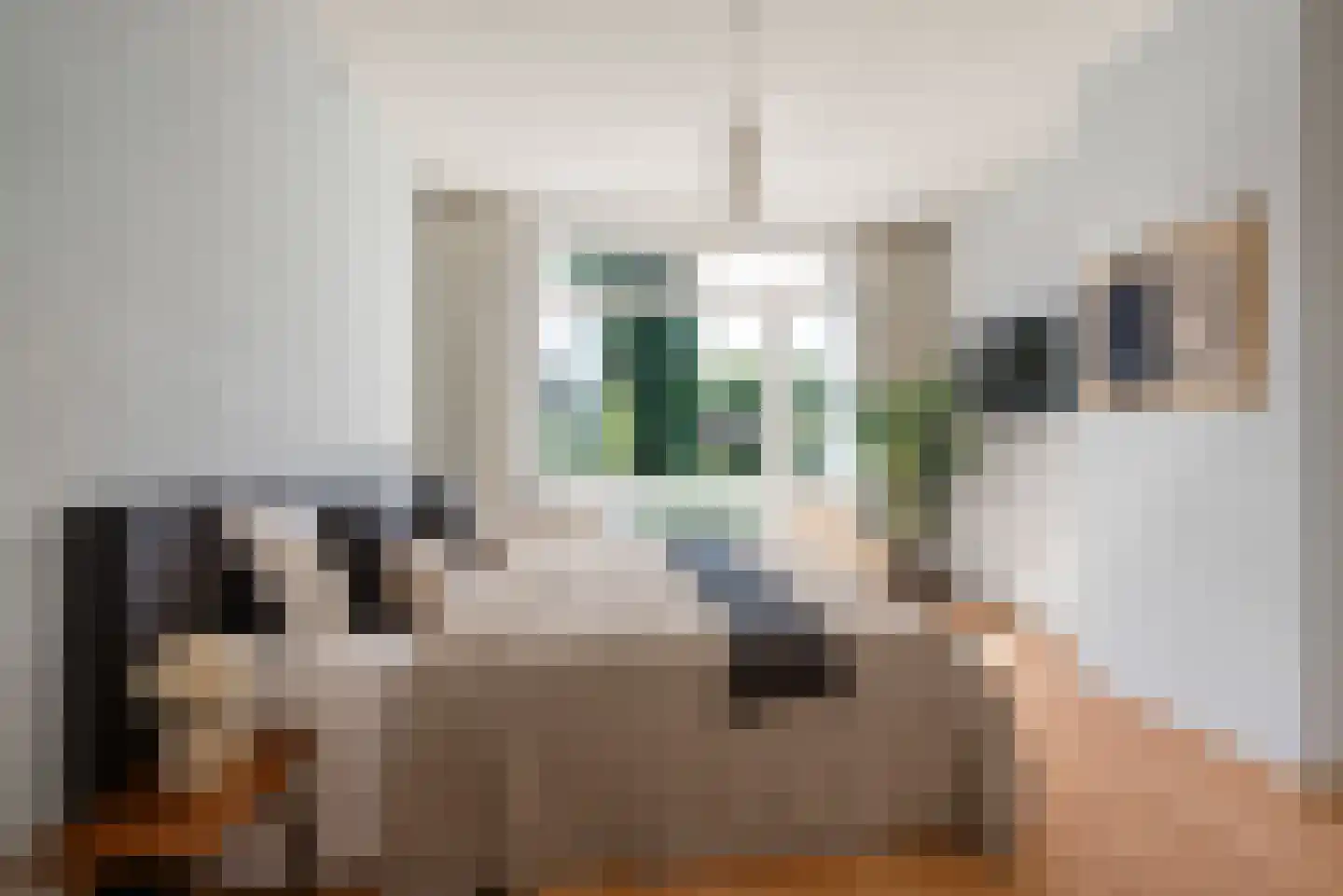 Aelbertsbergstraat 64 Haarlem thumbnail 26