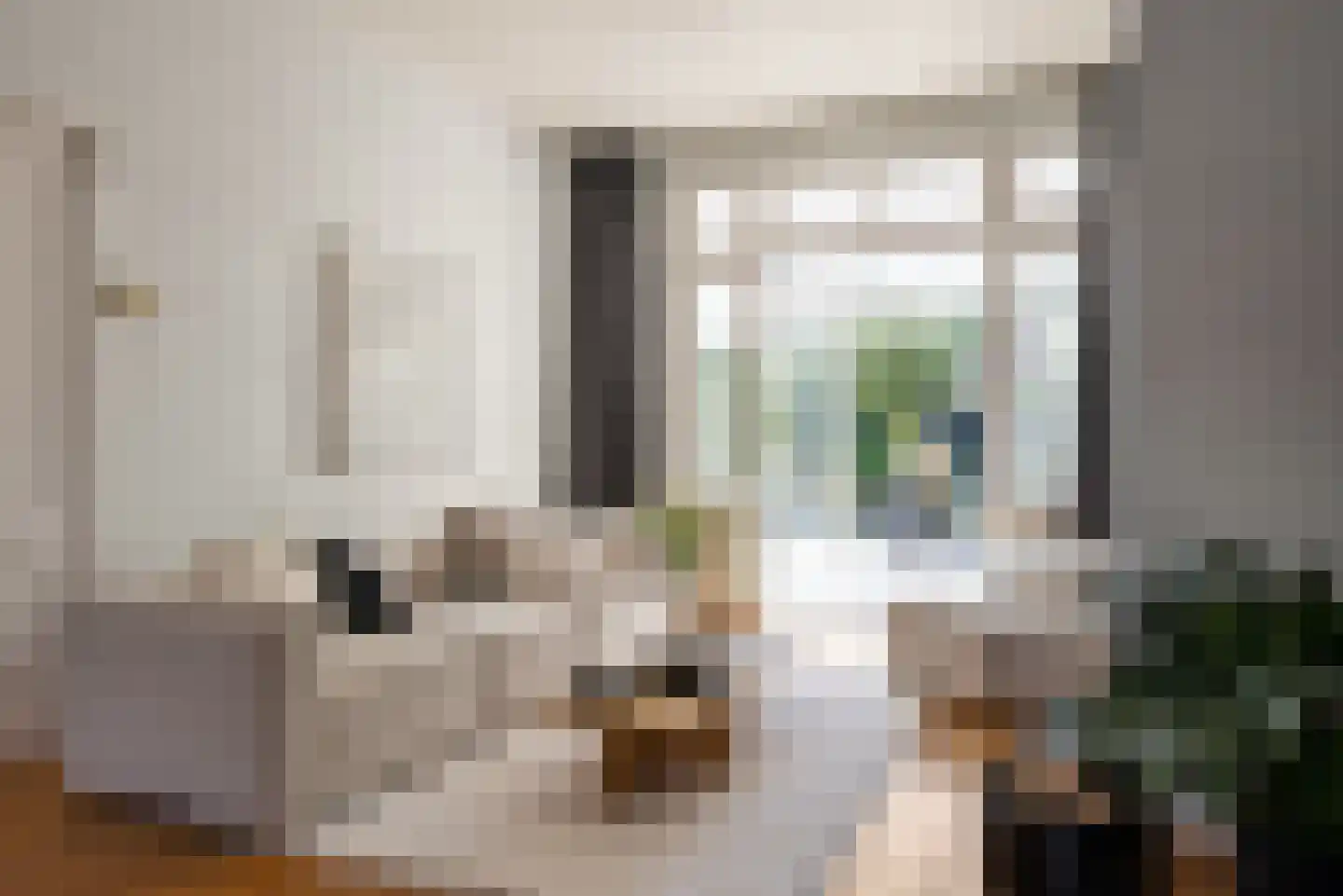 Aelbertsbergstraat 64 Haarlem thumbnail 5