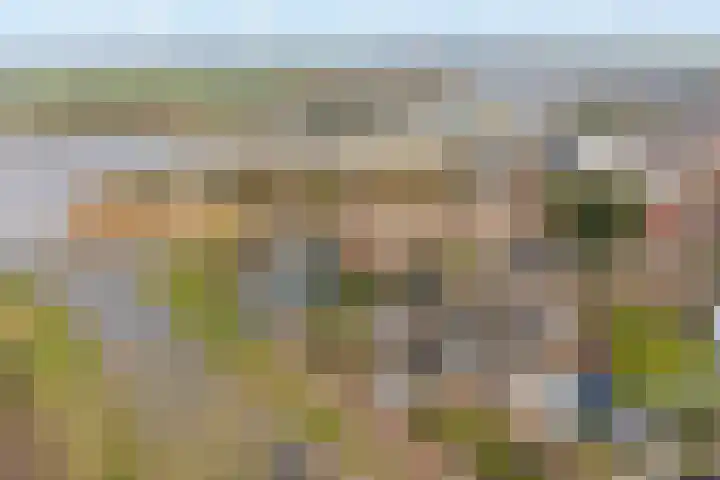 Aelbrecht van Naaldwijklaan 45 Ouderkerk aan den IJssel thumbnail 35