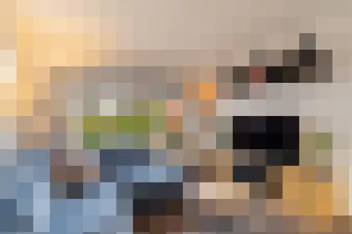 Aelbrecht van Naaldwijklaan 45 Ouderkerk aan den IJssel thumbnail 8