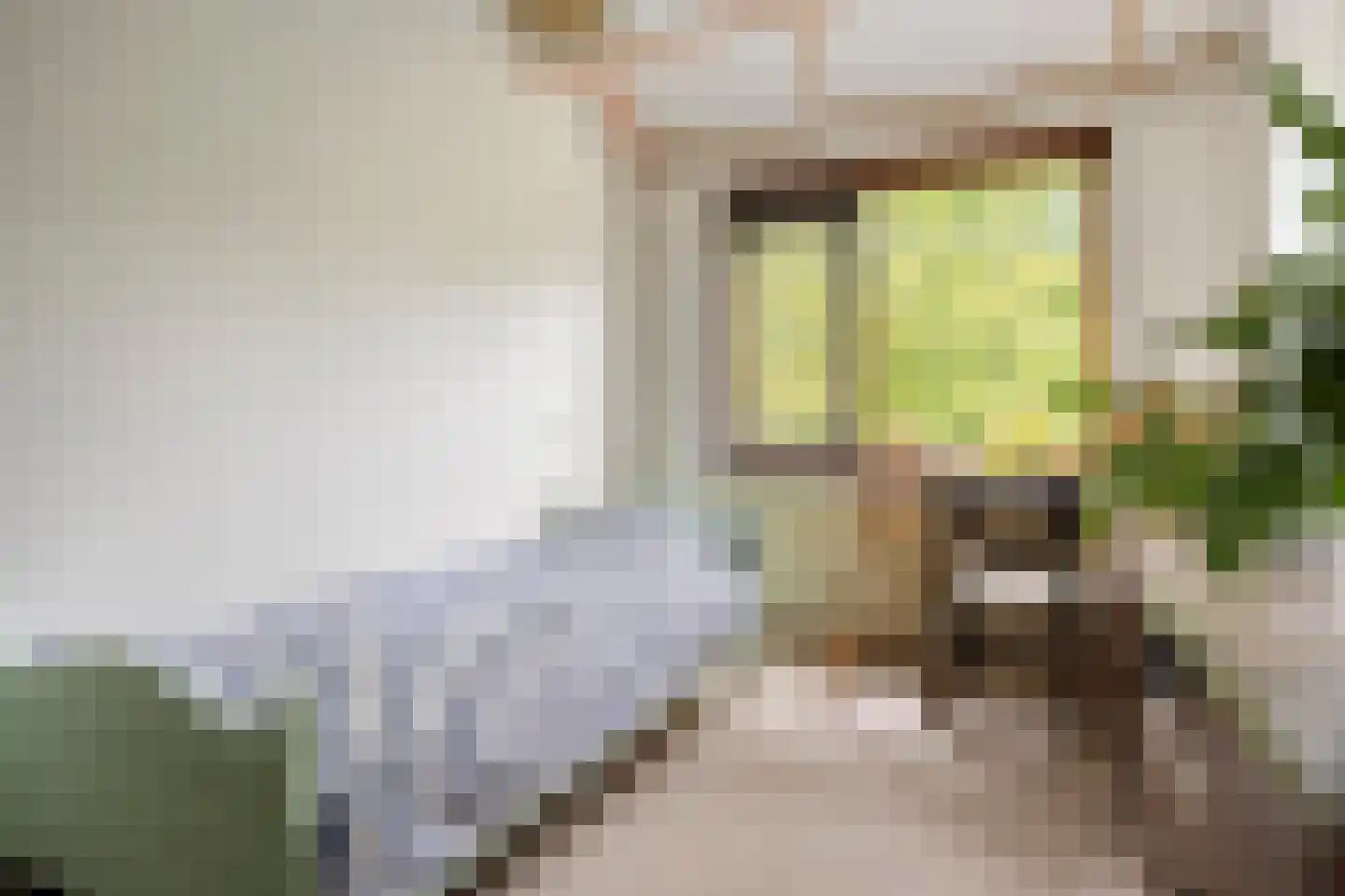 Aelbrecht van Naaldwijklaan 9 Ouderkerk aan den IJssel thumbnail 9