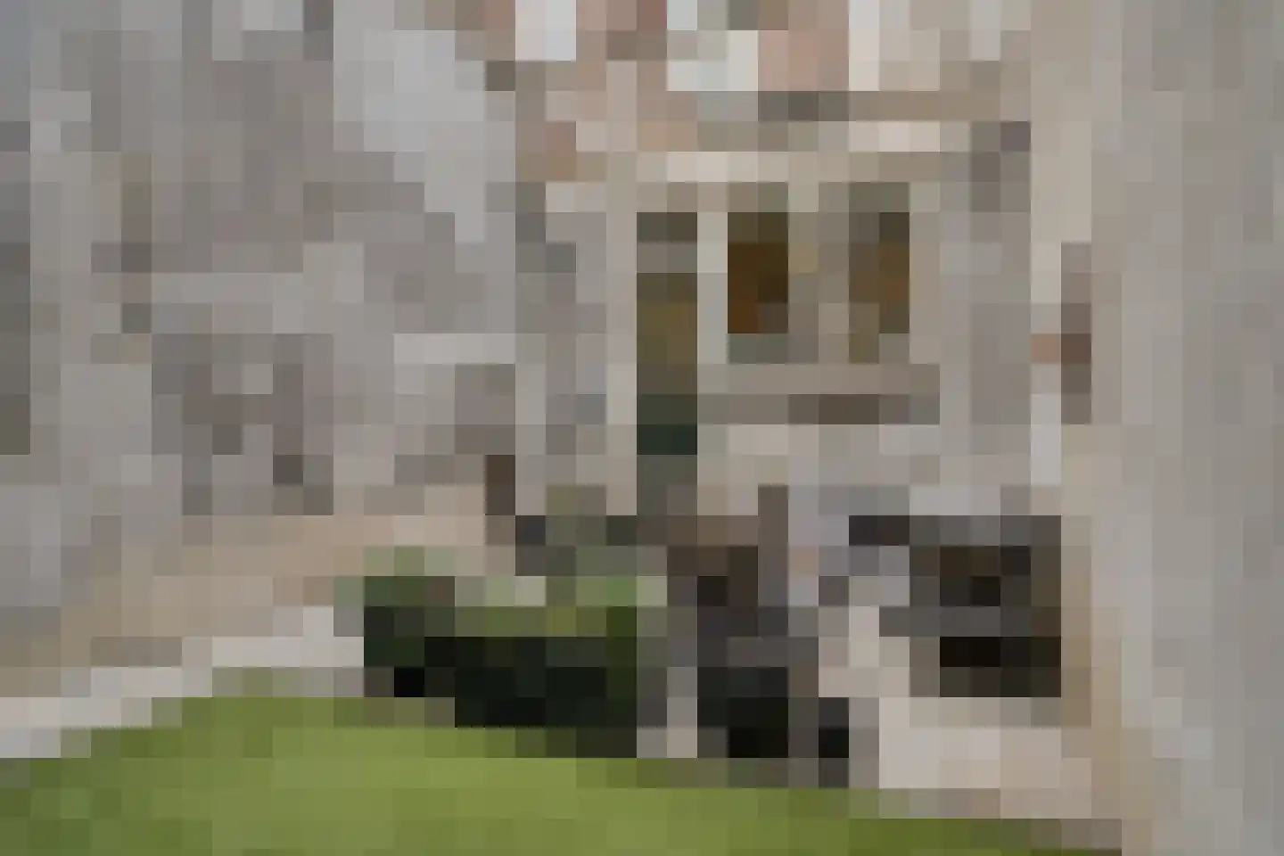 Aelbrechtskade 121 B Rotterdam thumbnail 14