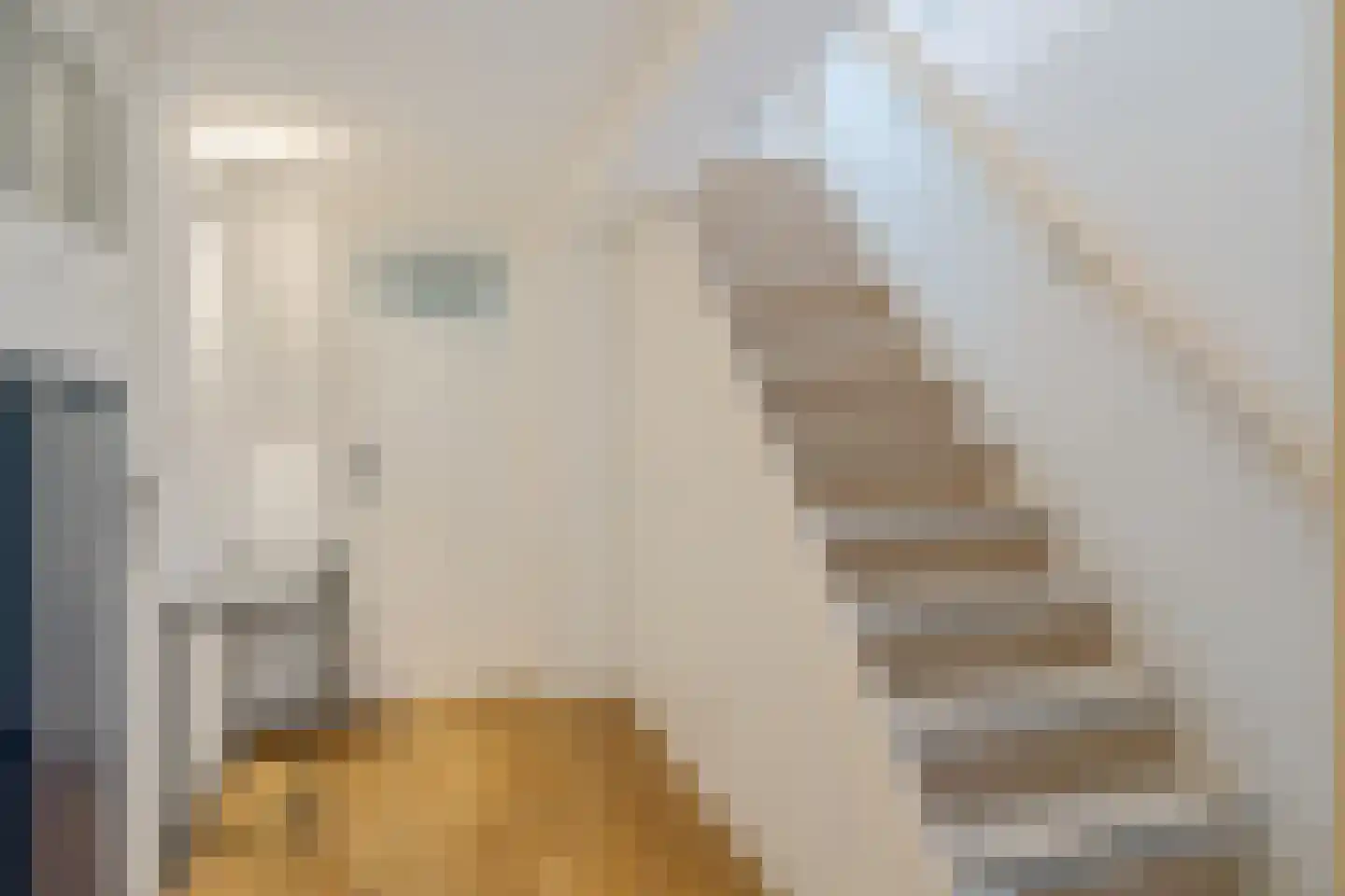 Aelbrechtskade 121 B Rotterdam thumbnail 18