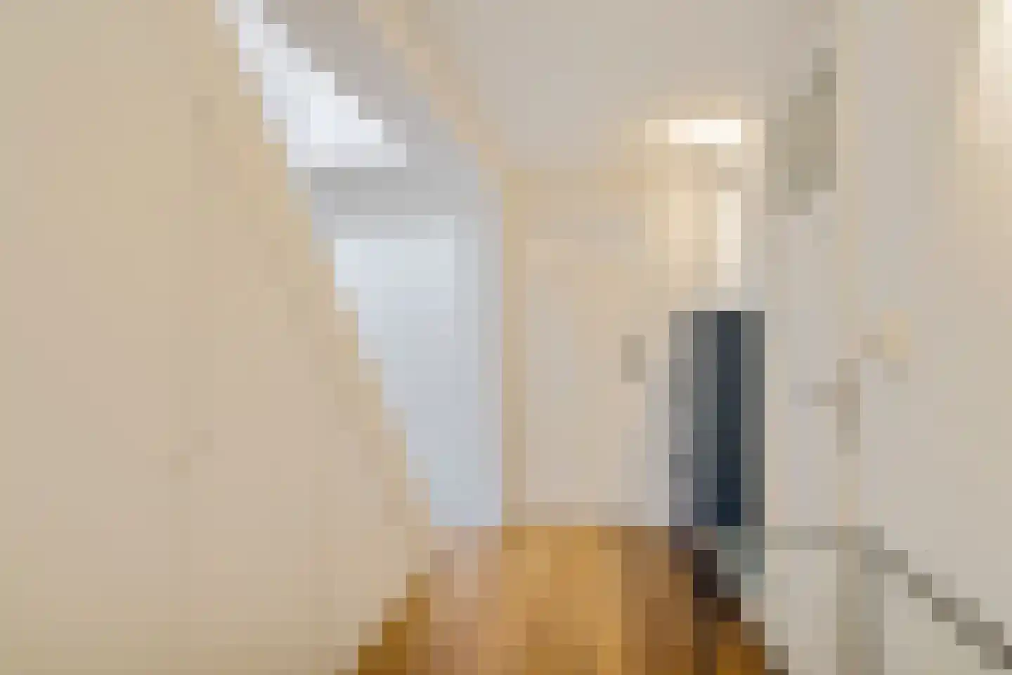 Aelbrechtskade 121 B Rotterdam thumbnail 19