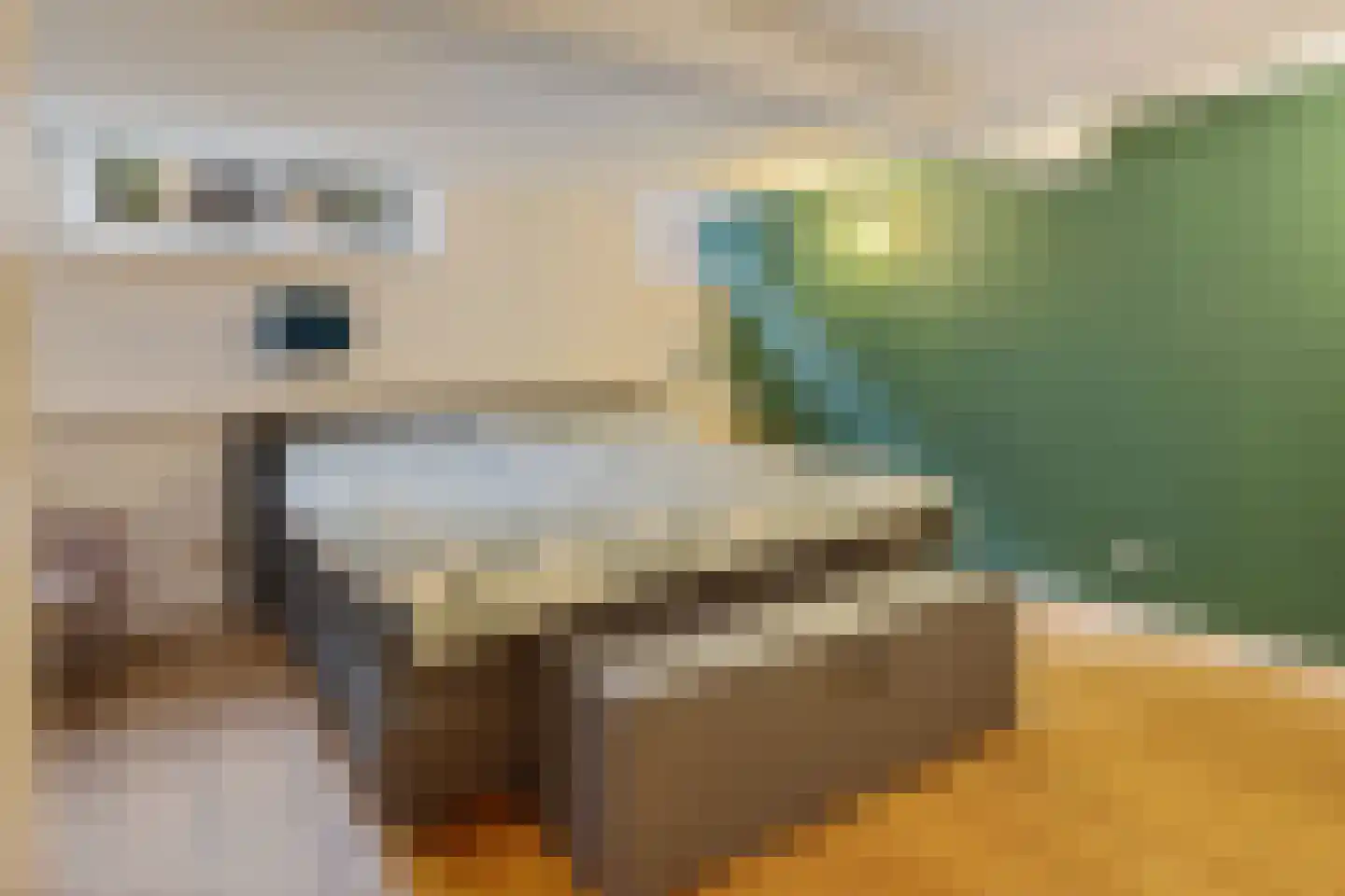 Aelbrechtskade 121 B Rotterdam thumbnail 20