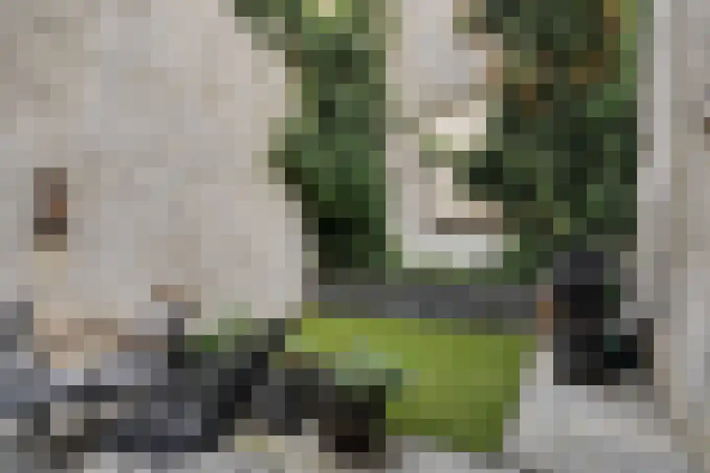 Aelbrechtskade 121 B Rotterdam thumbnail 4