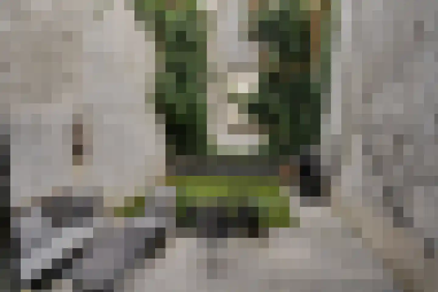 Aelbrechtskade 121 C Rotterdam thumbnail 15