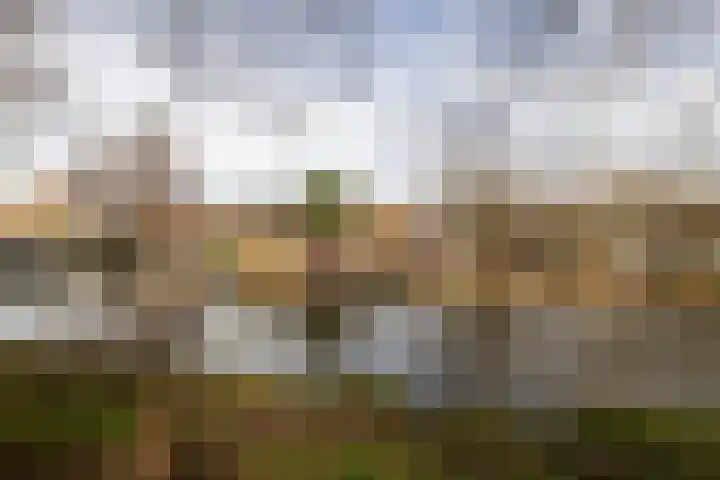 Aelbrechtskade 121 C Rotterdam thumbnail 27