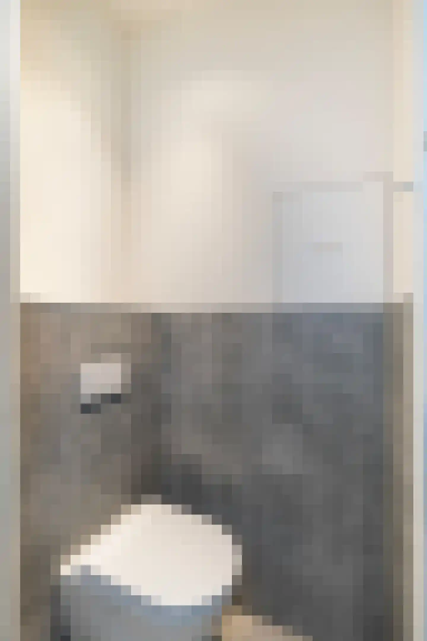 Aelbrechtskade 135 E Rotterdam thumbnail 13