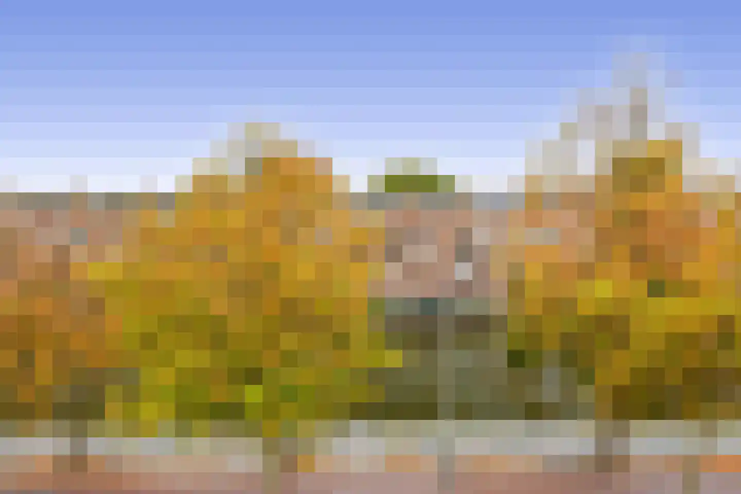 Aelbrechtskade 151 A 01 Rotterdam thumbnail 27
