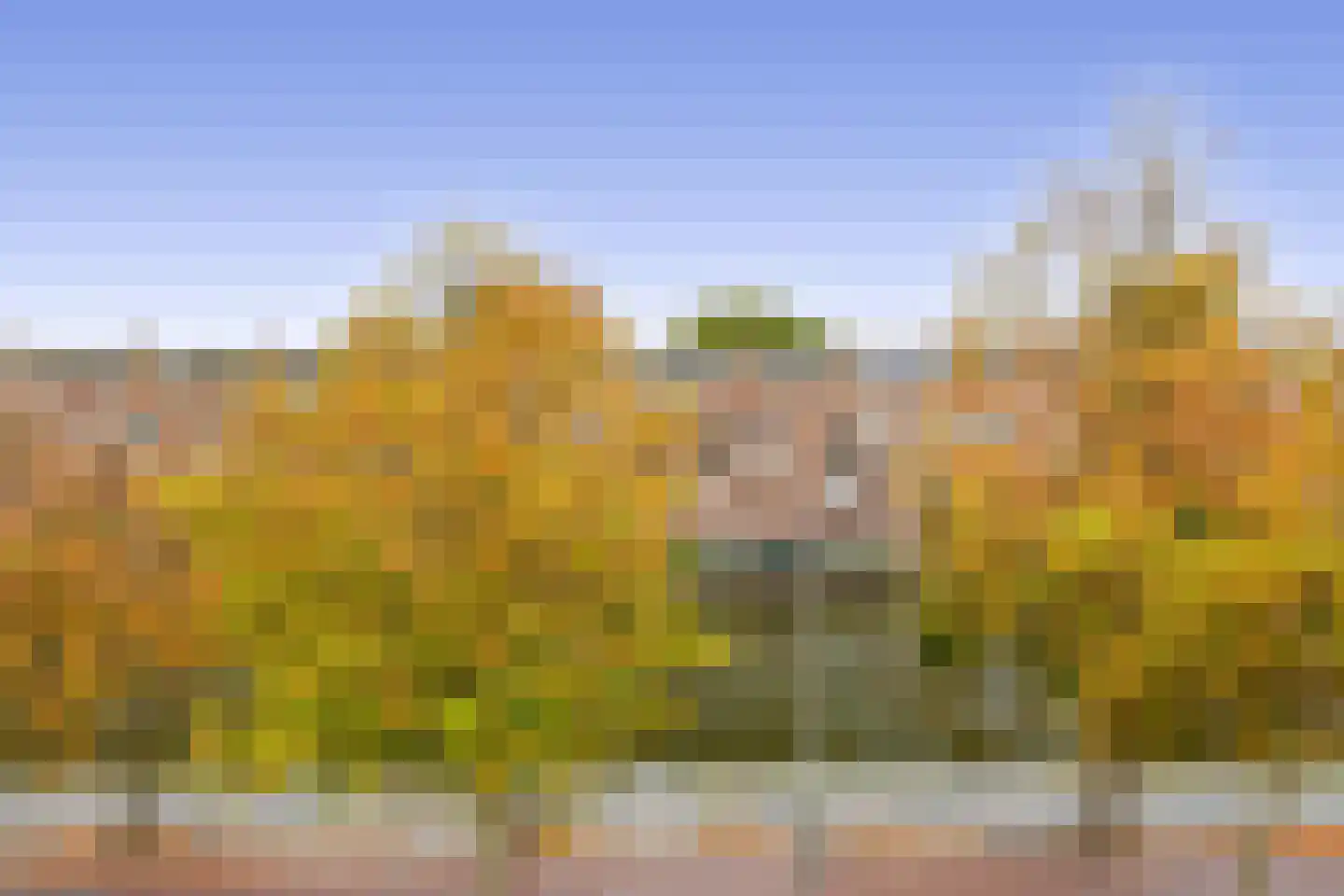 Aelbrechtskade 151 A 01 Rotterdam thumbnail 27