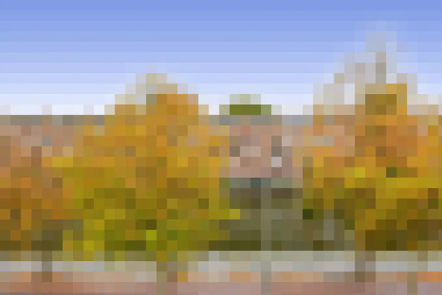 Aelbrechtskade 151 A 02 Rotterdam thumbnail 32