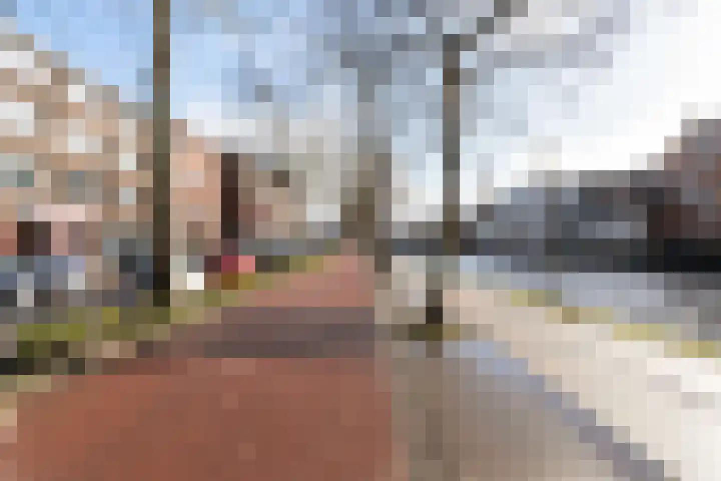 Aelbrechtskade 155 A 03 Rotterdam thumbnail 6