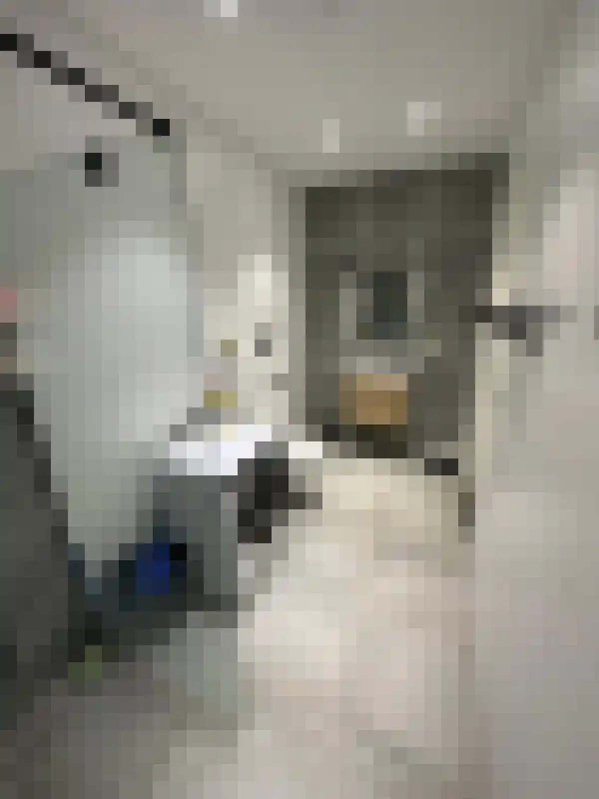 Aelbrechtskade 156 C Rotterdam