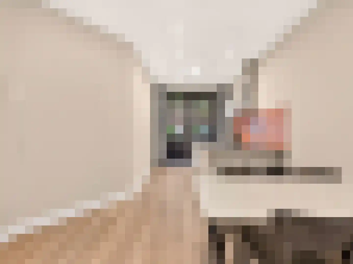 Aelbrechtskade 156 F Rotterdam thumbnail 7