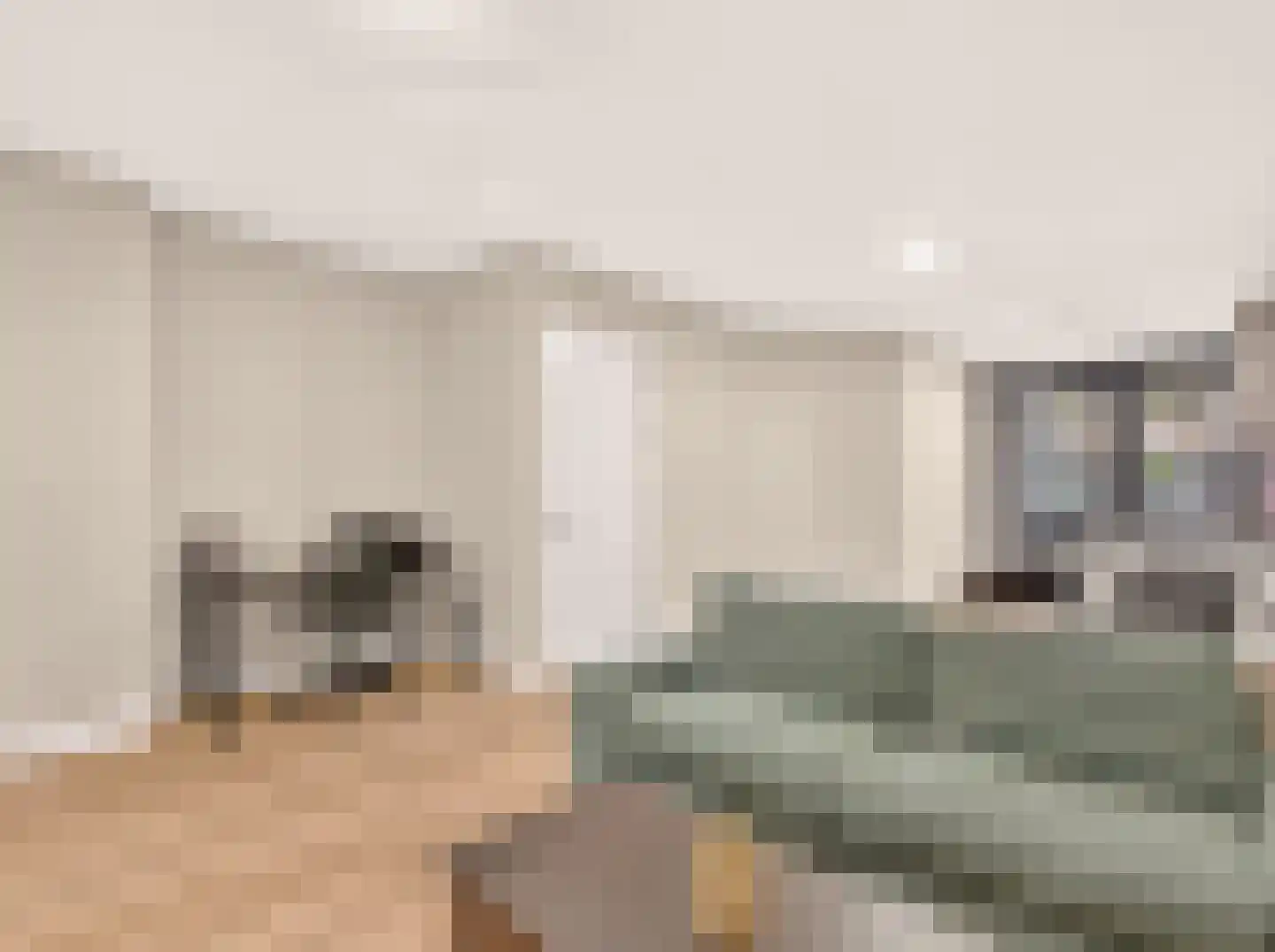 Aelbrechtskade 156 F Rotterdam thumbnail 8