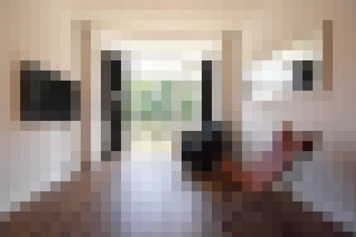 Aelbrechtskade 17 Rotterdam thumbnail 4