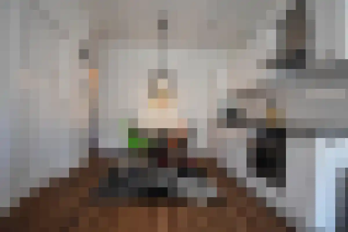 Aelbrechtskade 17 Rotterdam thumbnail 6
