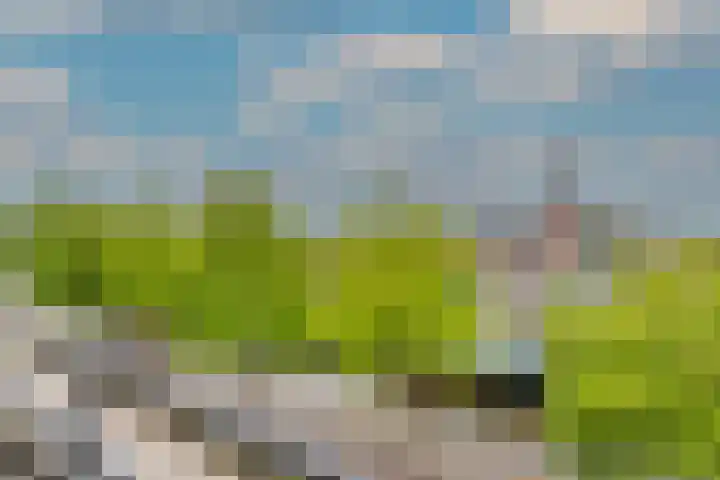 Aelbrechtskade 226 Rotterdam