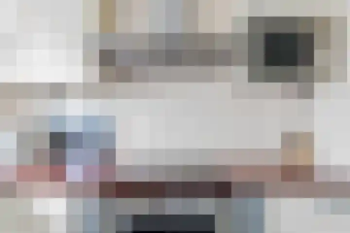 Aelbrechtskade 226 Rotterdam thumbnail 18