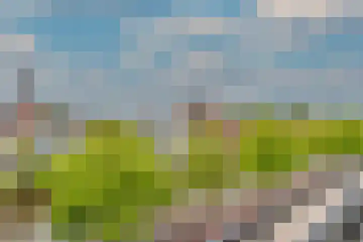 Aelbrechtskade 226 Rotterdam thumbnail 25