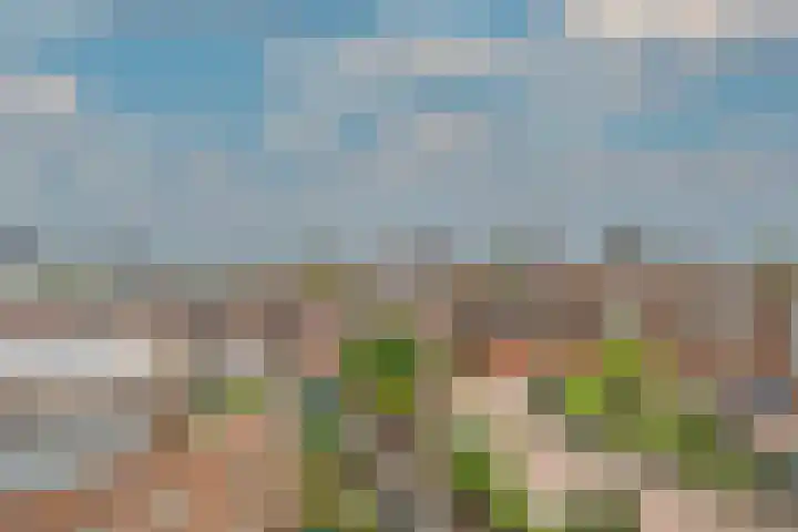 Aelbrechtskade 226 Rotterdam thumbnail 29