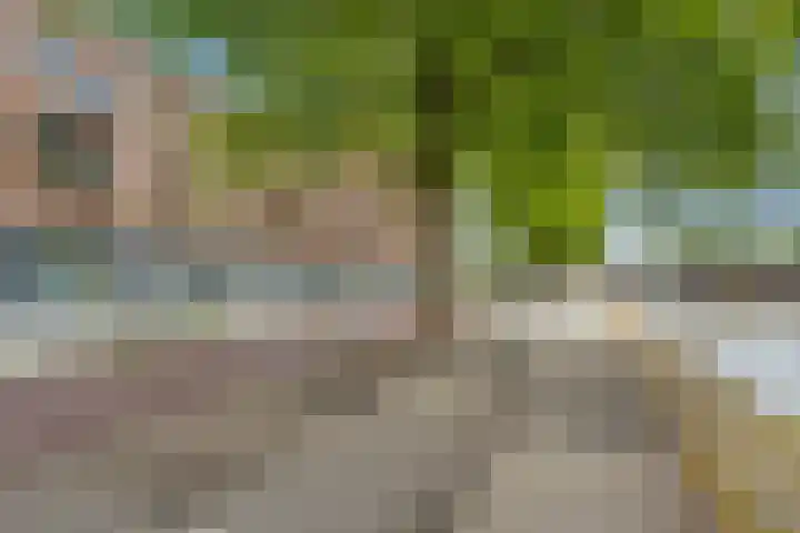 Aelbrechtskade 226 Rotterdam thumbnail 31