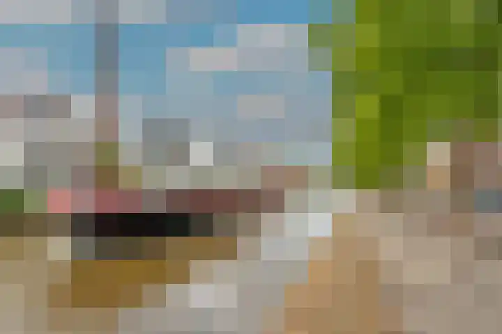 Aelbrechtskade 226 Rotterdam thumbnail 33