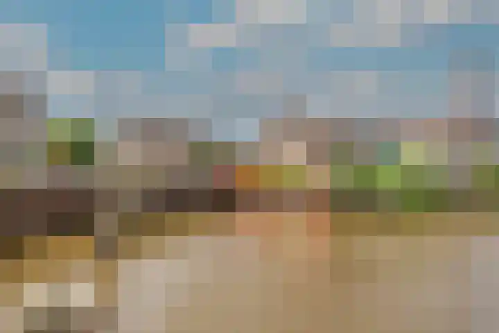 Aelbrechtskade 226 Rotterdam thumbnail 35