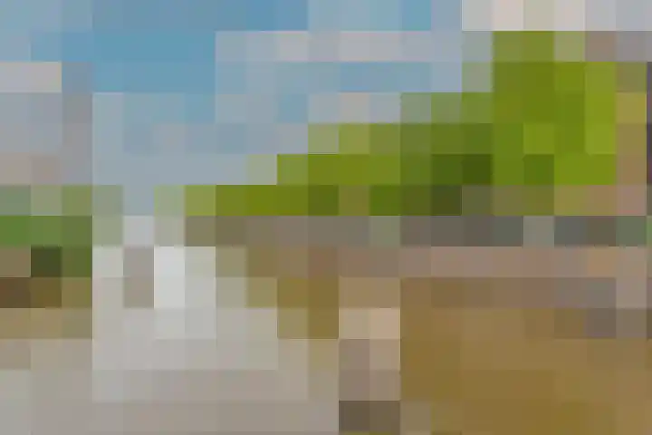 Aelbrechtskade 226 Rotterdam thumbnail 36
