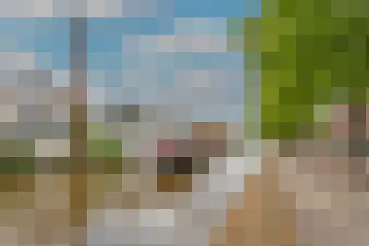 Aelbrechtskade 226 Rotterdam thumbnail 6